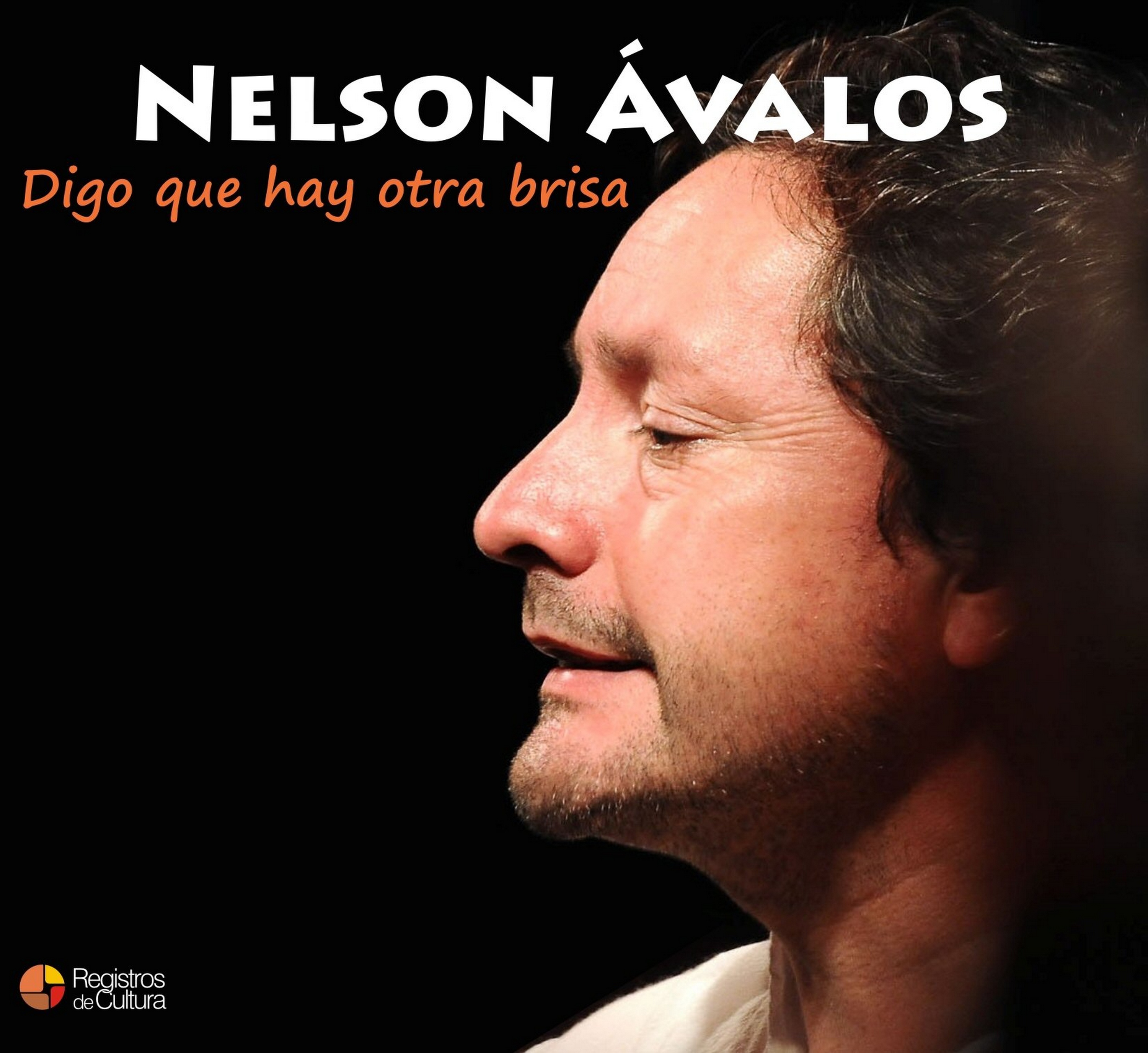 Tapa de Nelson Avalos — Digo que hay otra brisa