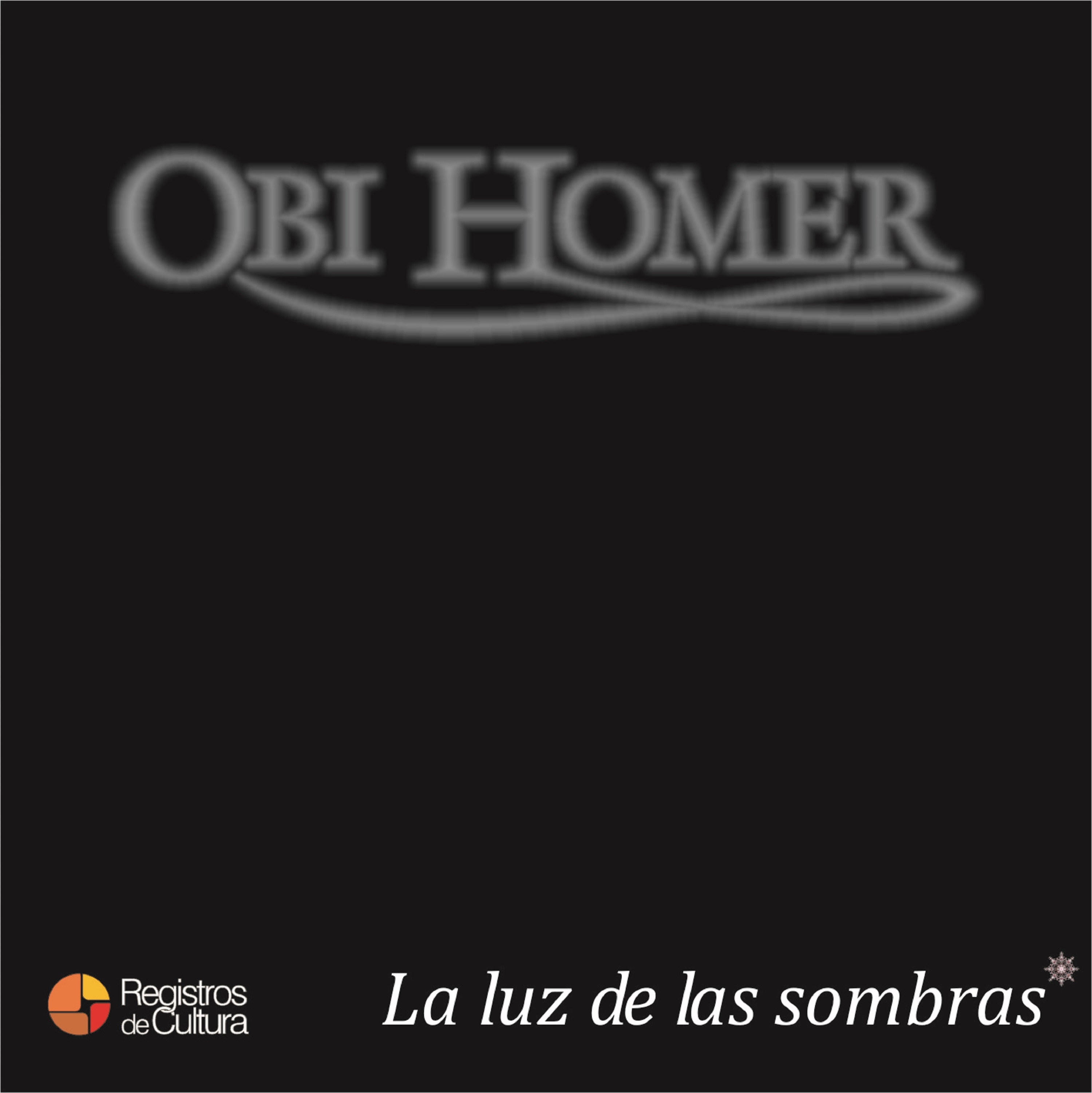 Tapa de Obi Homer — La luz de las sombras